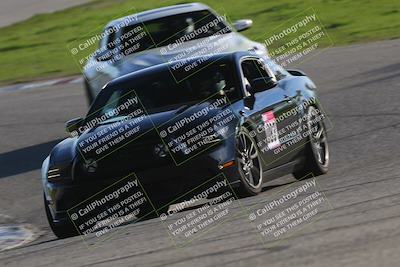 media/Jan-10-2026-Turn8 Trackdays (Sat) [[448b66da83]]/Yellow/Session 3 (Off Ramp)/